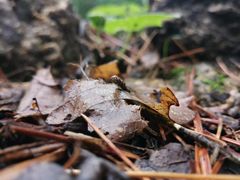 -本溪老边沟风景区