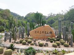 -深圳仙湖植物园