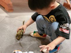 -西西弗书店&矢量咖啡(凯德晶萃广场店)