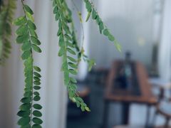 -绣园·茶食宴(湘绣博物馆店)