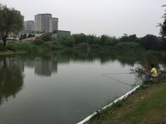 -SMP滑板公园