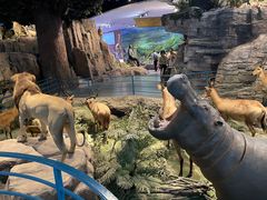 -陕西自然博物馆