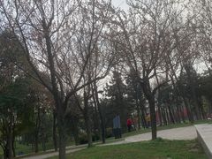 -洨河生态公园