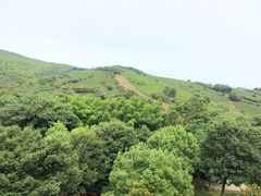 -天目湖御水温泉·度假酒店