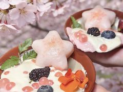 -東盛炭烤自助料理(浦东文峰广场店)