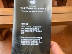 -怀托摩萤火虫洞