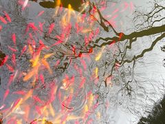 -西安华清御汤酒店