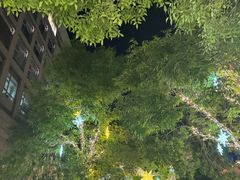 -中粮·祥云小镇