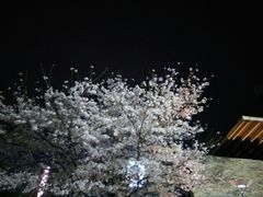 -玉山公园