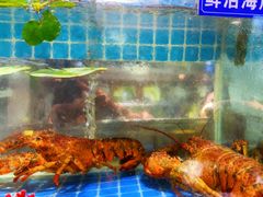 -碗中海·蒸汽海鲜·桑拿鸡(岭南天地店)