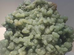 -重庆自然博物馆(新馆)
