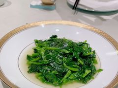 -蝶园·装修中(BFC外滩金融中心店)