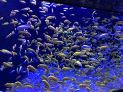 -成都浩海立方海洋公园