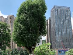 -花果园湿地公园