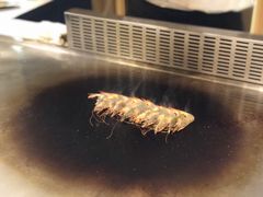 -金膳禾铁板料理(万达店)