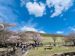 -奈良公园