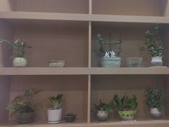 -胖子鱼·油泼甘谷辣子炝活鱼(秦州407店)