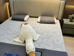 -居然之家(浑南店)