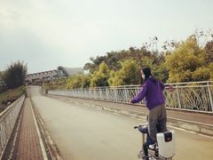 -紫颐香薰山谷景区