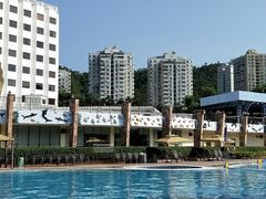 -珠海度假村游泳池