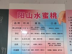 -老袁家蜜桃农场·阳山水蜜桃