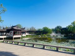 -上海滨江森林公园
