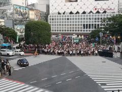 -涩谷全向十字路口