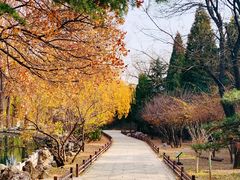 -晋祠公园