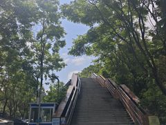-福道
