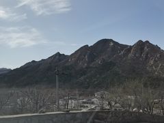 -康陵正德春饼宴26号