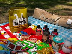 -长白岛森林公园