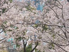 -西北湖绿化广场