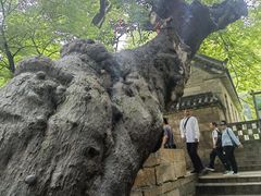 -青岛崂山太清宫