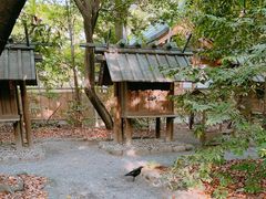 -热田神宫
