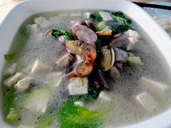 豆腐蛤蜊汤-海岛渔村大酒店(云霄路店)