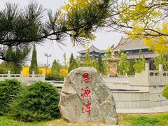 -大槐树寻根祭祖园