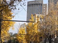 -上海虹桥宾馆(郁锦香品牌酒店)