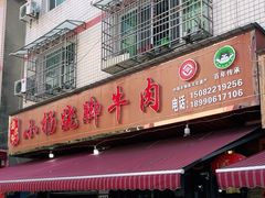 -小杨翘脚牛肉