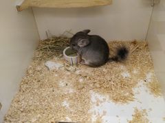 -龙猫仔乐园(惠福东路店)