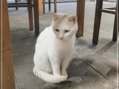 -高淳老街土菜馆(迎薰门店)