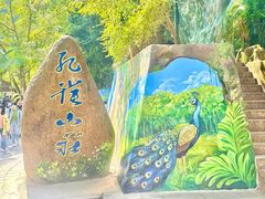 -西双版纳原始森林公园
