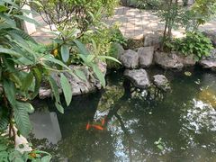 -南京民俗博物馆(甘熙故居)