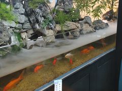 -舟小鲜·舟山小渔村(凤城四路中登广场店)