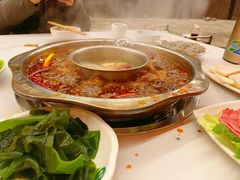 -枇杷园食为鲜火锅(南山店)