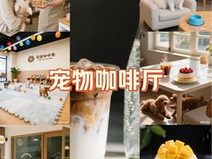 -申普宠物医院·心脏介入·心血管微创(总院)