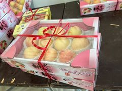 -南汇水蜜桃采摘(大团店)