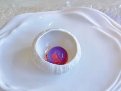 -九献创意菜·牛排馆(亮马河花园店)