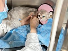 -贝利宠物医院·骨科·眼科·肿瘤转诊中心(南坪诊疗中心)