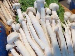 -享月汤皇·海鲜小火锅·聚会(曲江创意谷店)