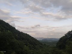 -韬光茶庵